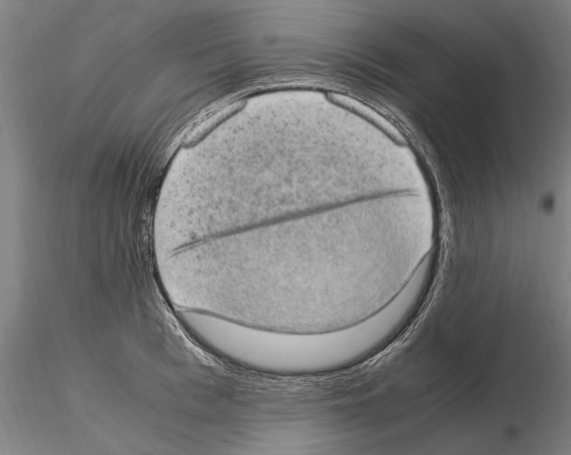 X0000114660993200912011130