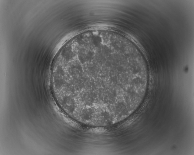 X0000114660994200912011130