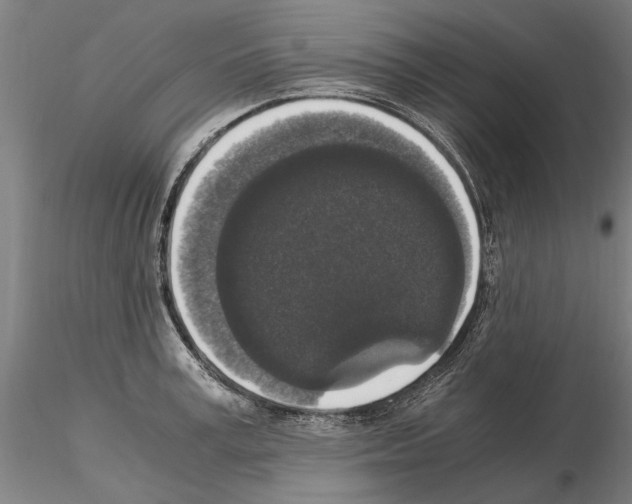 X0000114660995200912011130