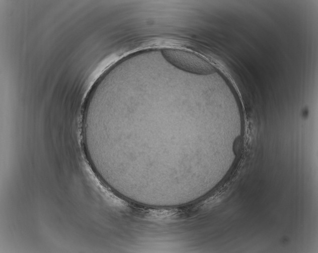 X0000114660997200912011130