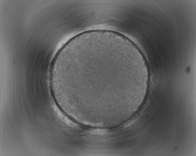 X0000114660998200912011130