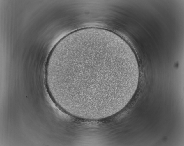 X0000114660999200912011130