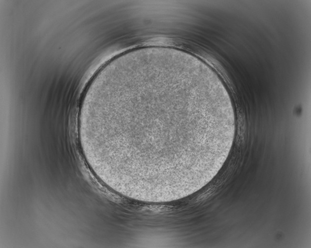 X0000114661000200912011130