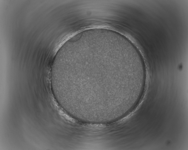 X0000114661001200912011130