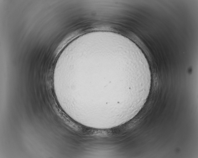 X0000114661002200912011130