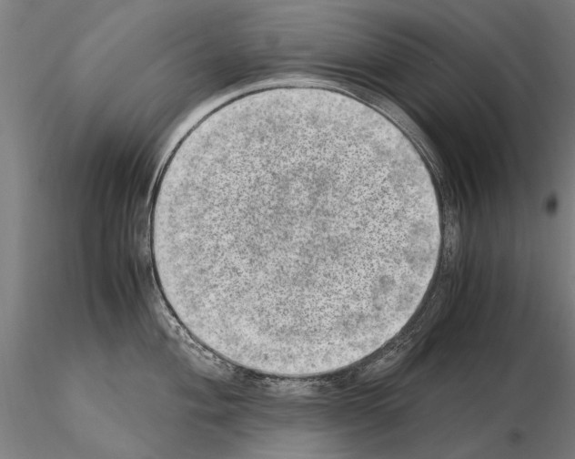 X0000114661004200912011130