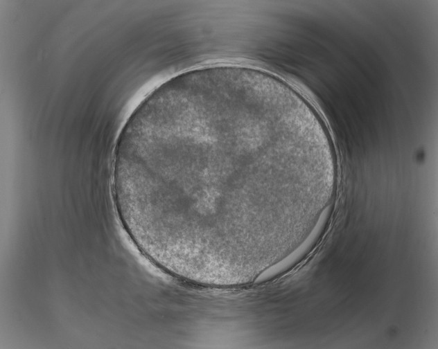 X0000114661005200912011130