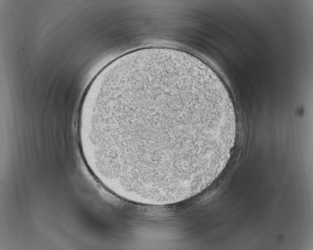 X0000114661007200912011130