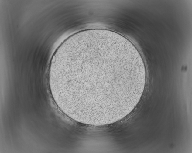 X0000114661008200912011130