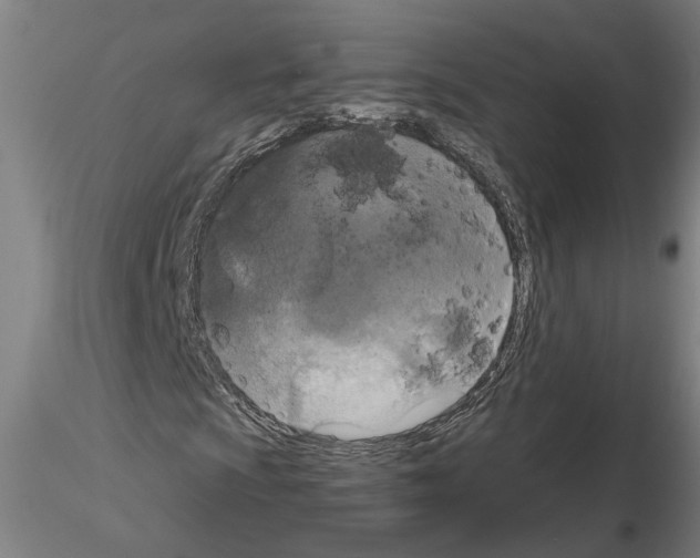 X0000114661009200912011130