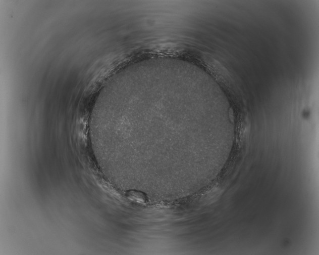 X0000114661010200912011130