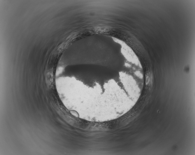 X0000114661011200912011130