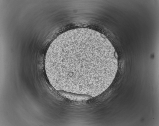 X0000114661012200912011130