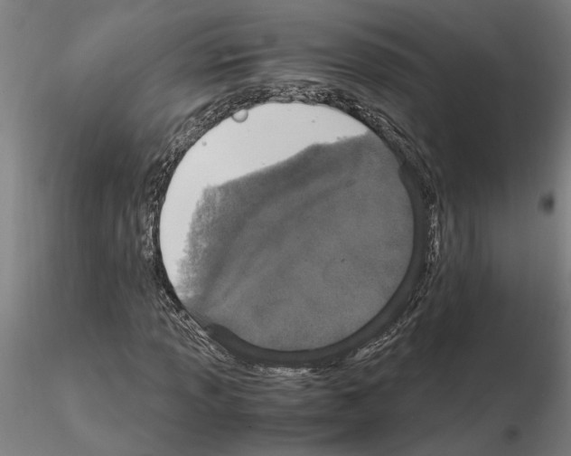 X0000114661013200912011130