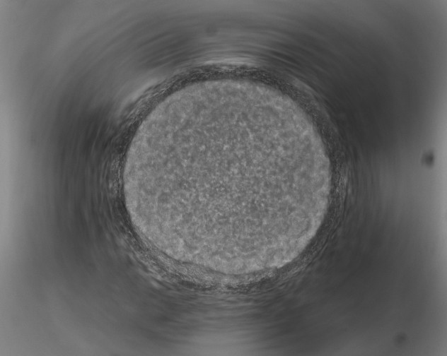 X0000114661014200912011130