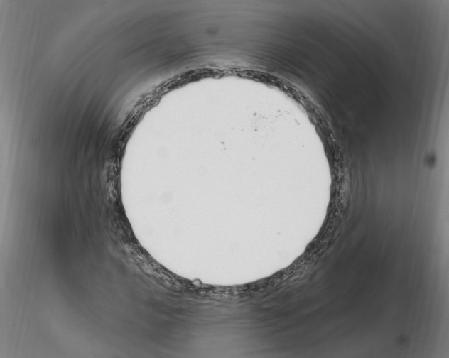 X0000114661016200912011130