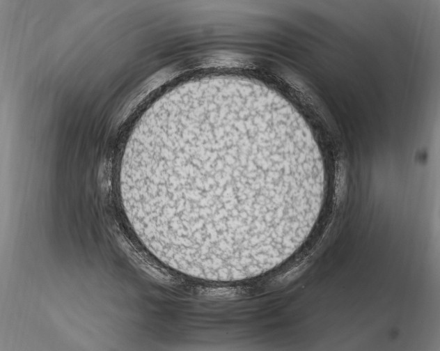 X0000114661017200912011130