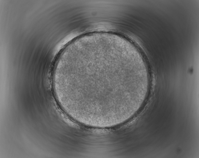 X0000114661018200912011130