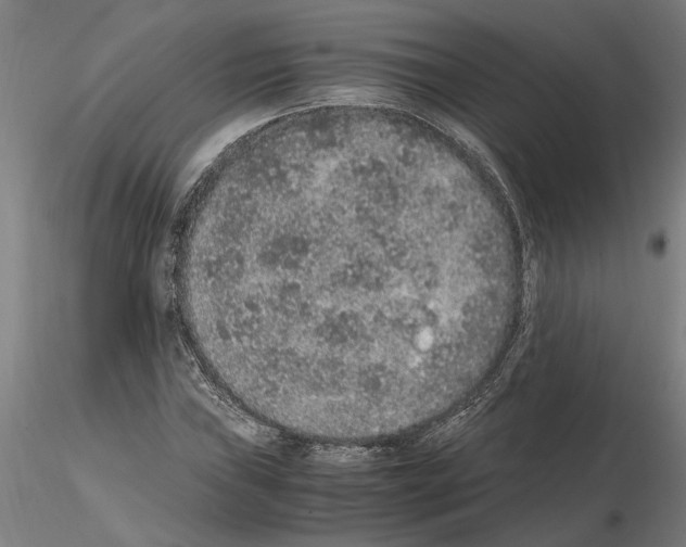 X0000114661019200912011130