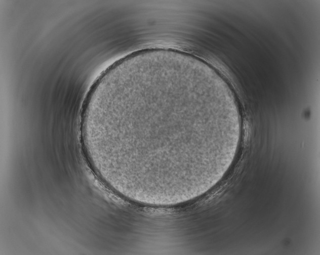 X0000114661020200912011130