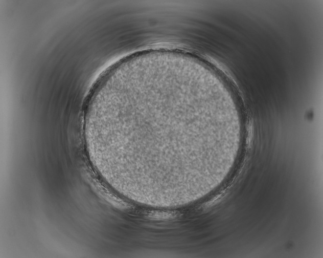 X0000114661021200912011130