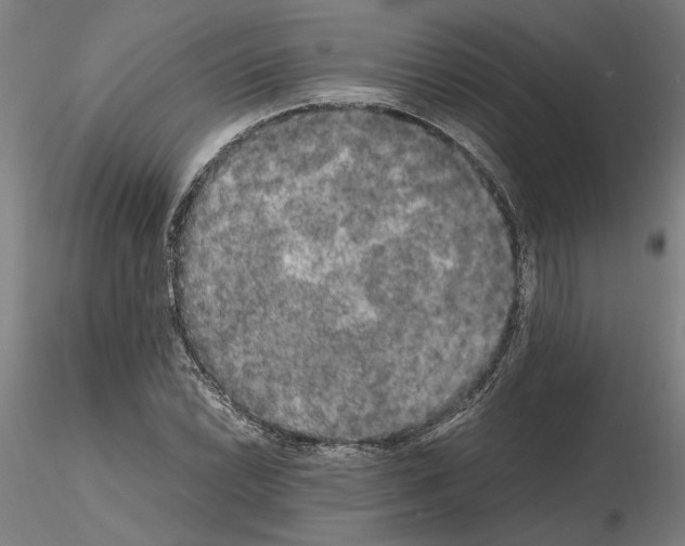 X0000114661022200912011130