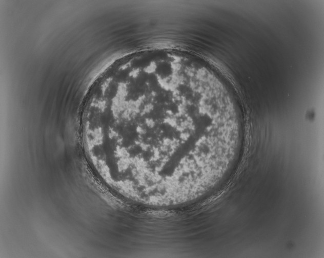 X0000114661023200912011130