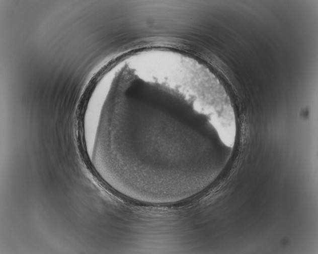 X0000114661024200912011130