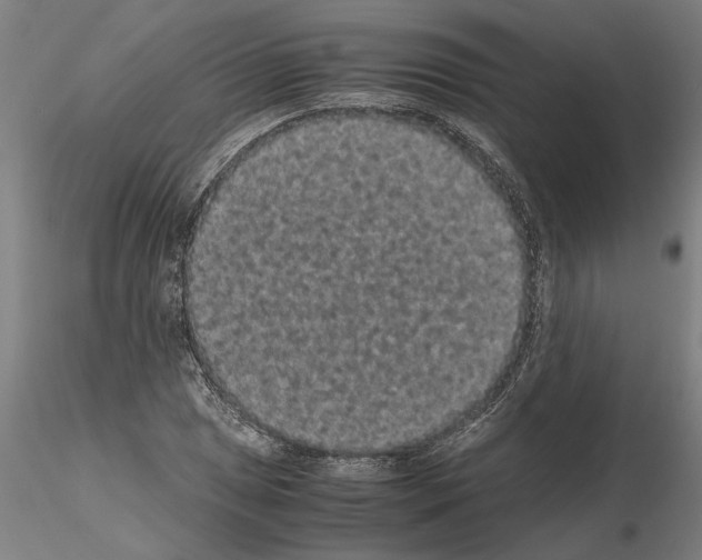 X0000114661025200912011130