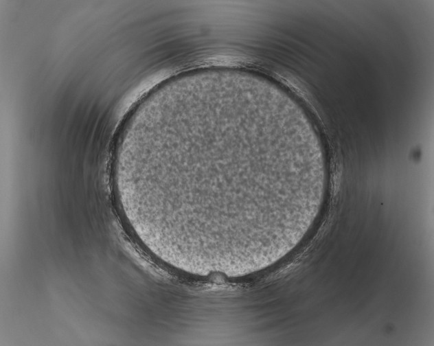 X0000114661026200912011130