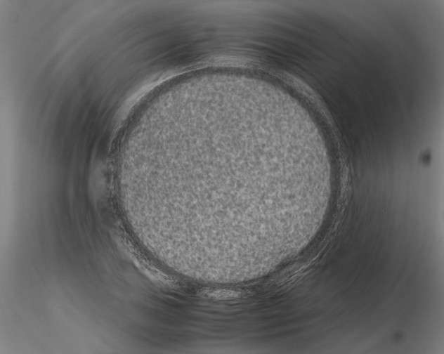 X0000114661027200912011130