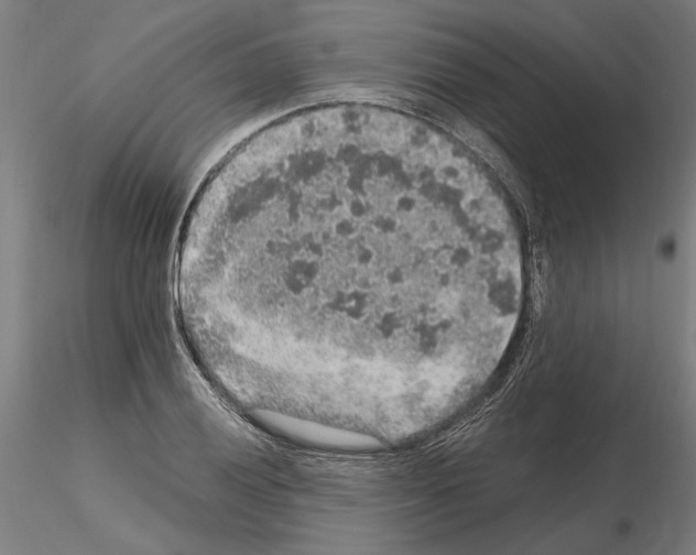 X0000114661028200912011130