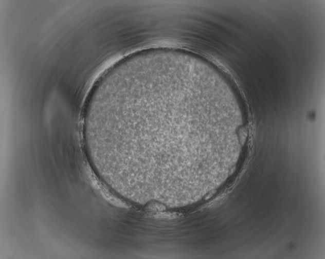 X0000114661029200912011130