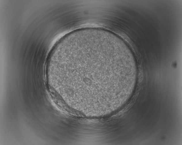 X0000114661030200912011130