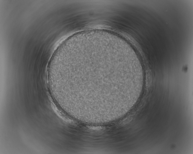 X0000114661031200912011130