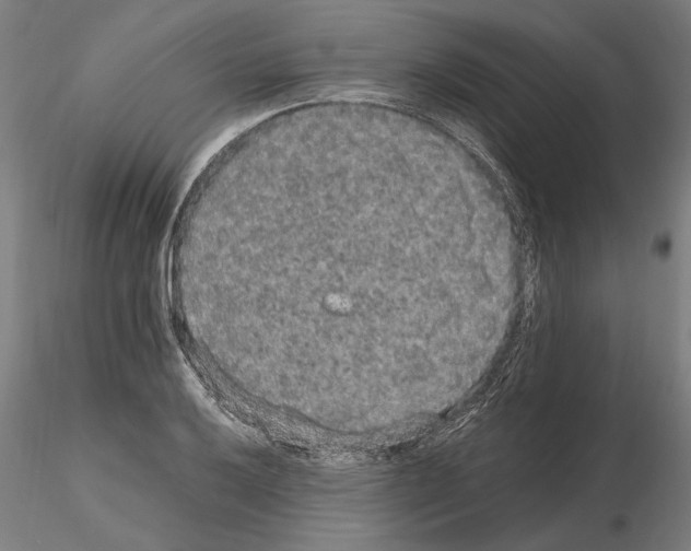 X0000114661032200912011130