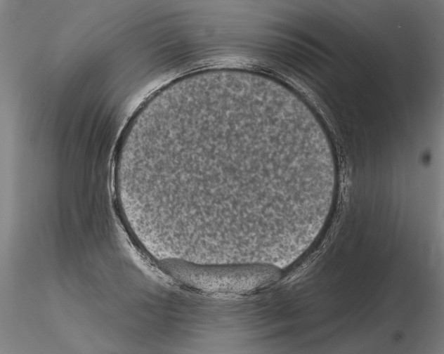 X0000114661034200912011130