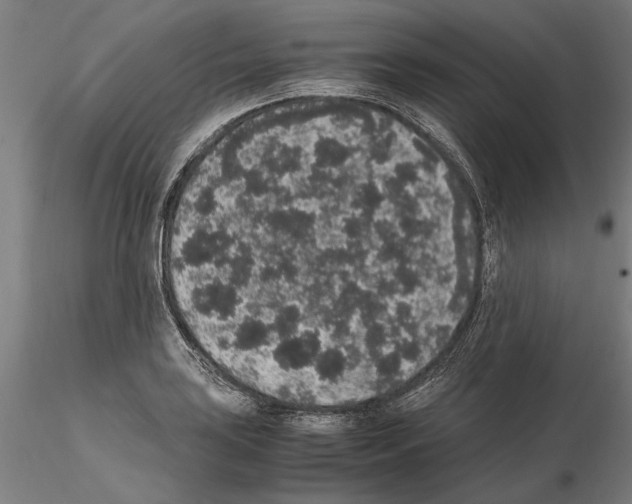 X0000114661035200912011130