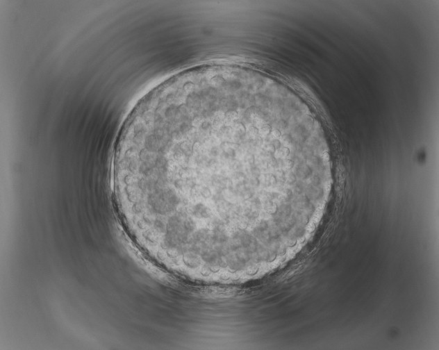 X0000114661036200912011130