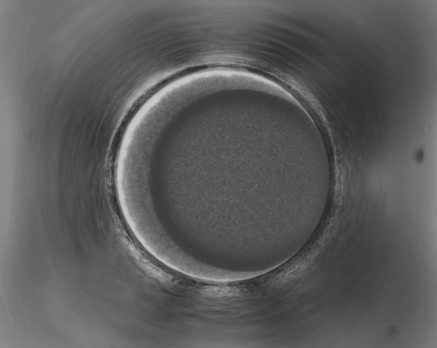 X0000114661037200912011130