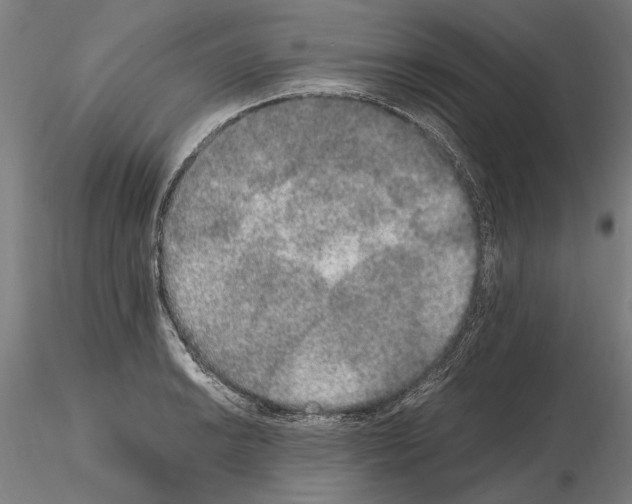 X0000114661038200912011130