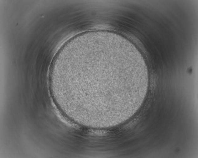 X0000114661039200912011130