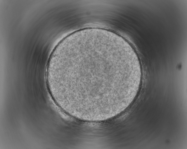 X0000114661040200912011130