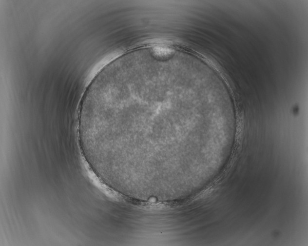 X0000114661042200912011130