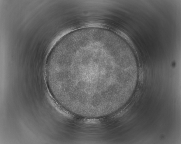 X0000114661043200912011130