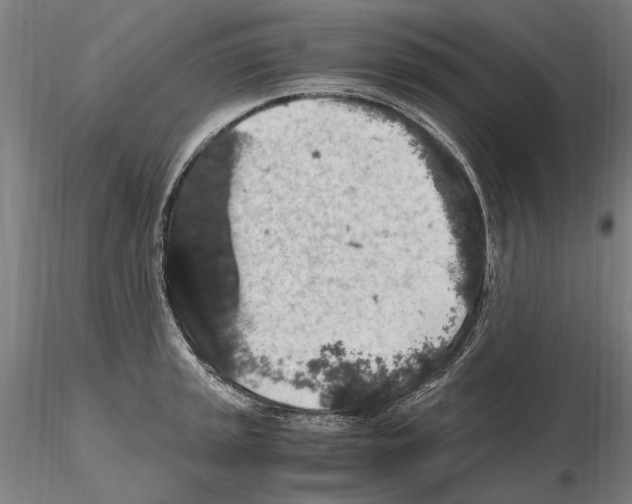 X0000114661045200912011130