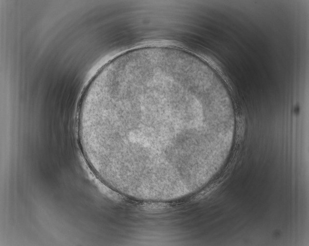 X0000114661046200912011130