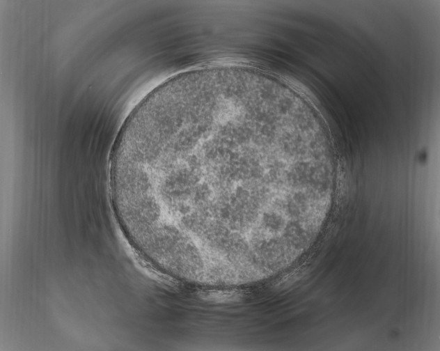 X0000114661047200912011130