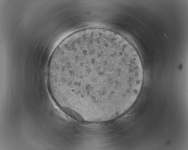 X0000114661048200912011130