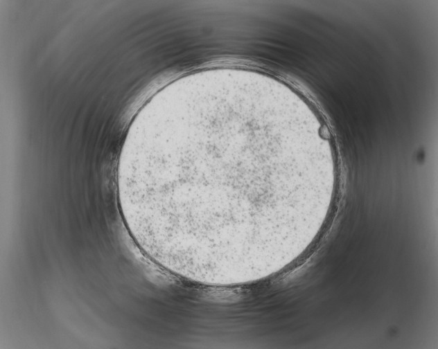 X0000114661049200912011130